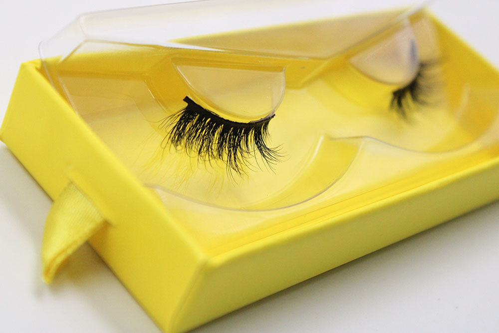 LASHES R01